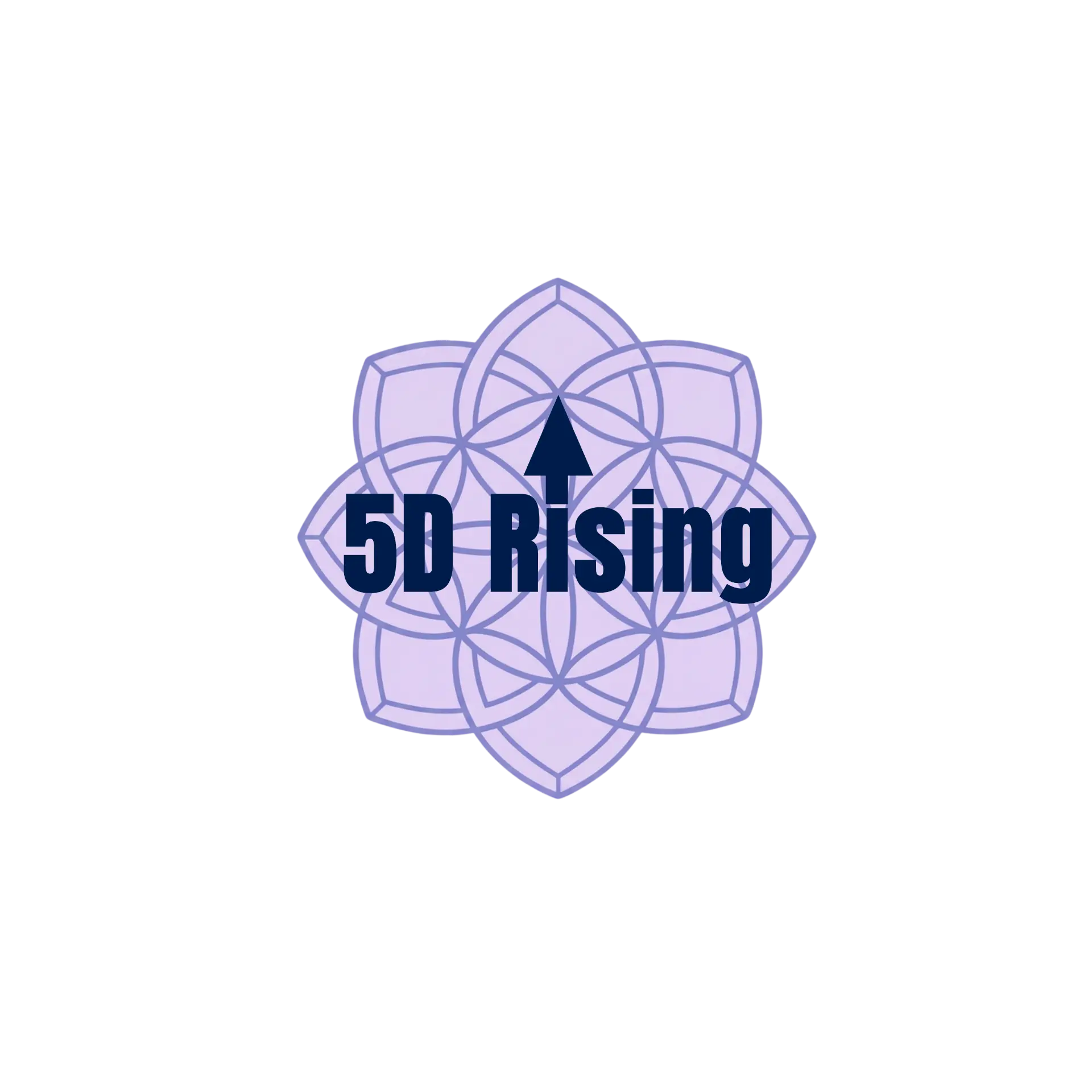 5D Rising
